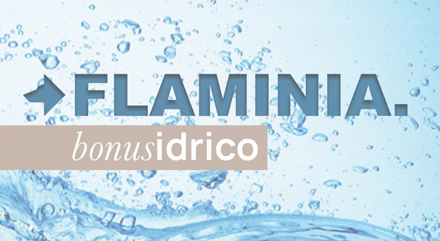 FLM_bonusidrico_2