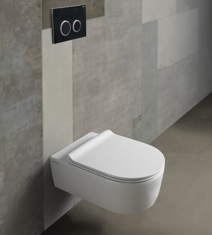 wc-link-usa-flaminia